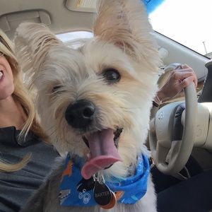 Meet your Posher, Holly